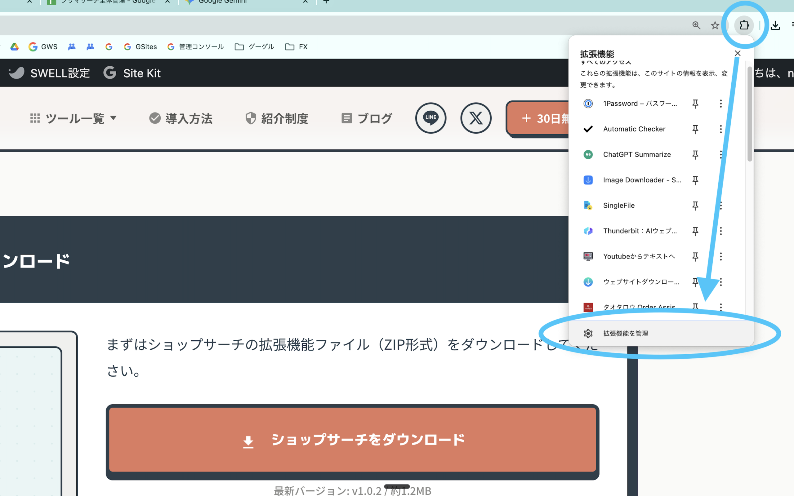 Chrome拡張機能の設定ページ